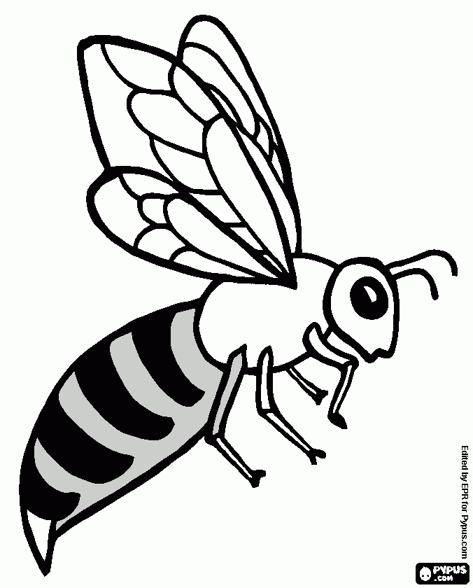 dessin abeille