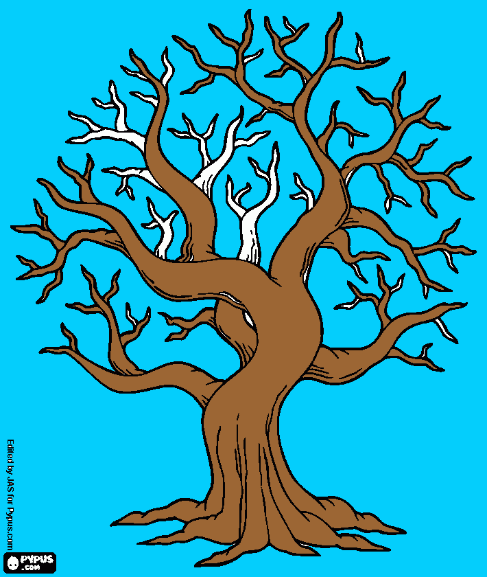 dessin arbre de base