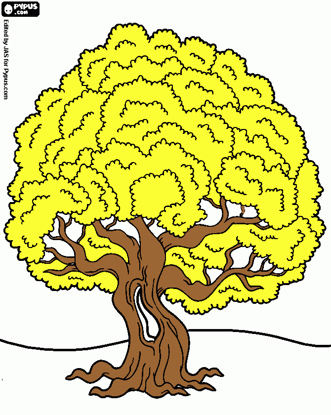 dessin arbres