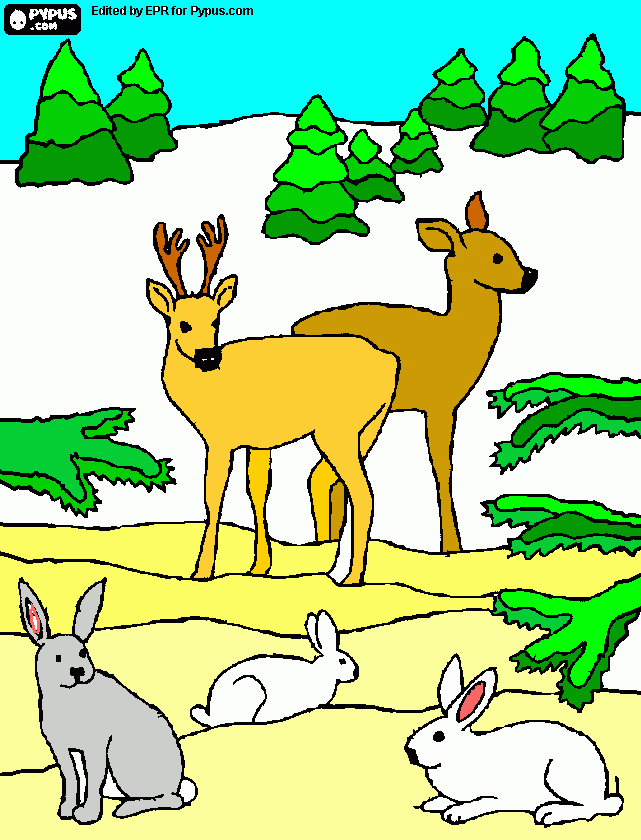 dessin biche et lapin