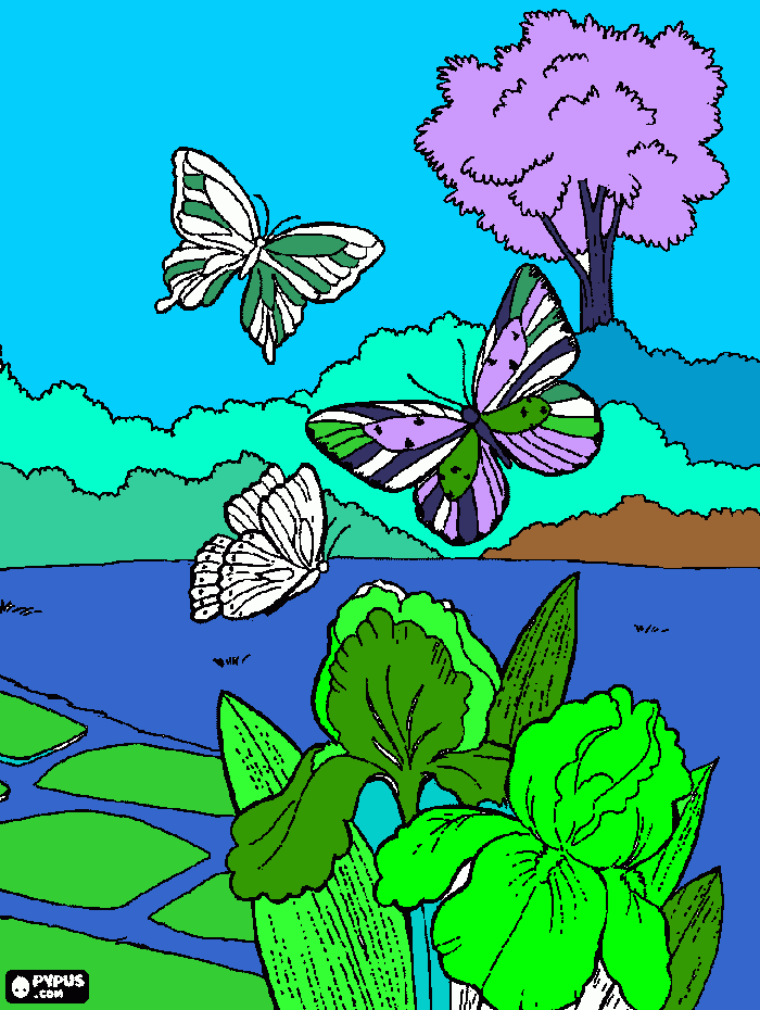 dessin décor papillon 