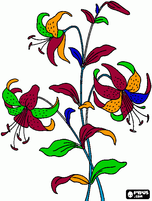 dessin fleurs de lys