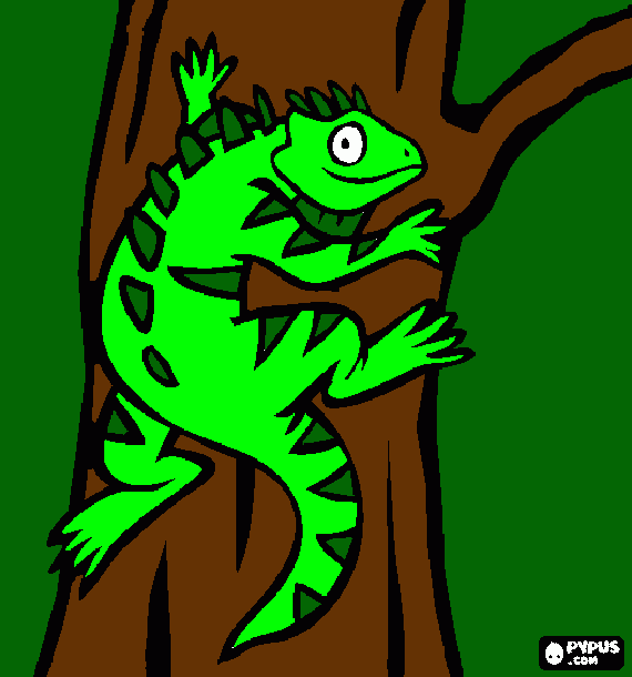 dessin Iguane sur tronc d'arbre