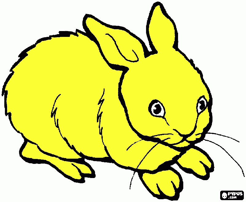 dessin lapin jaune couché