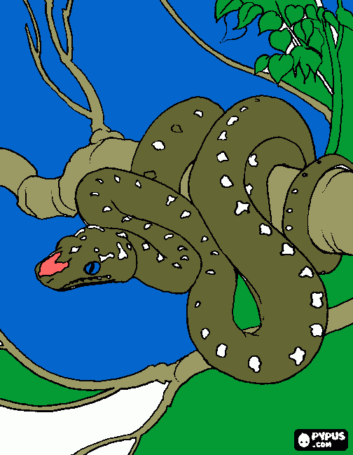 dessin le serpent