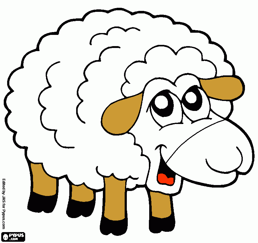 dessin mouton blanc