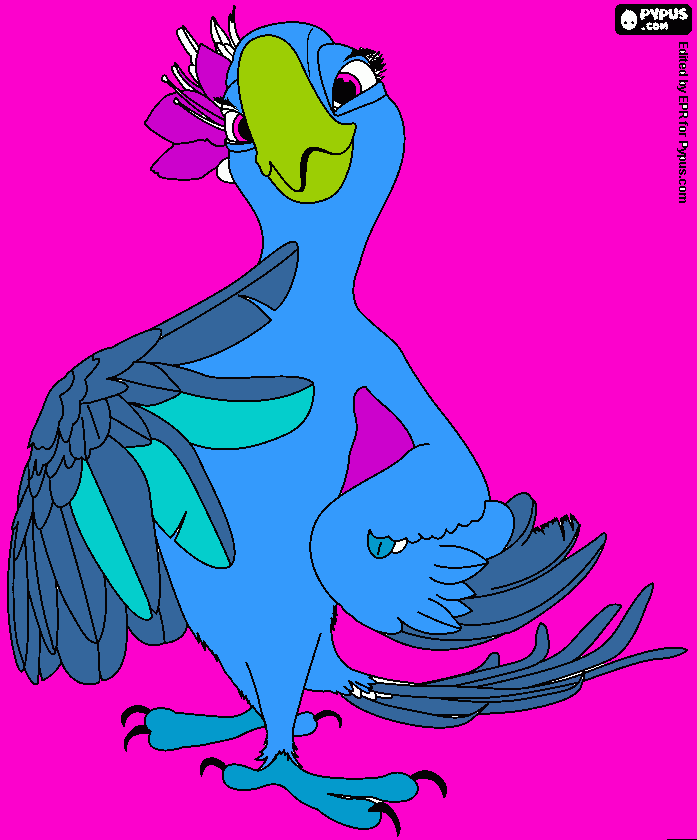 dessin oiseau de Rio