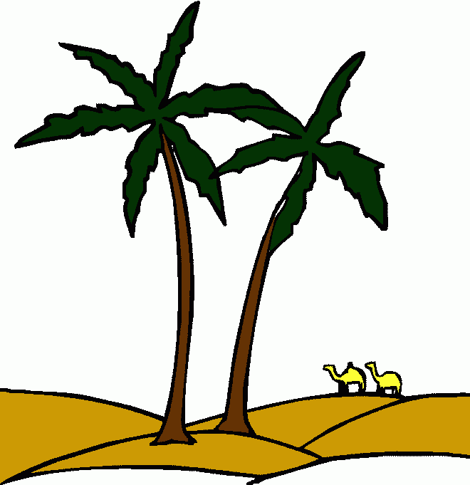 dessin palmier
