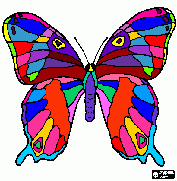dessin papillon coloré
