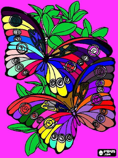 dessin papillon lila