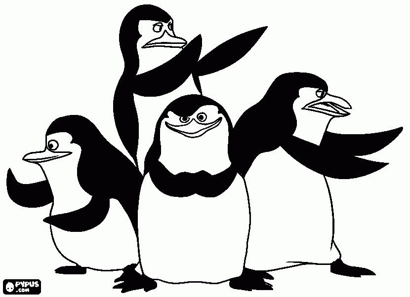dessin pingoin