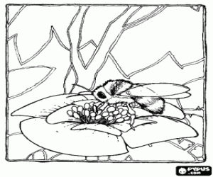 Coloriage Abeille � miel collectant pollen
