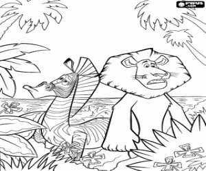 Coloriage Alex, le lion et le z�bre Marty perdues dans la jungle