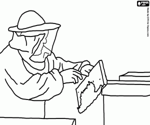 Coloriage Apiculteur travailant avec le v�tement sp�cial dans la ruche pour recueillir le miel