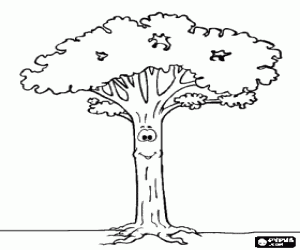 Coloriage Arbre � haute et � long tronc