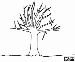 Coloriage Arbre sans feuille en hiver