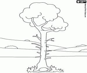 Coloriage Arbre solitaire dans un paysage avec peu de v�g�tation