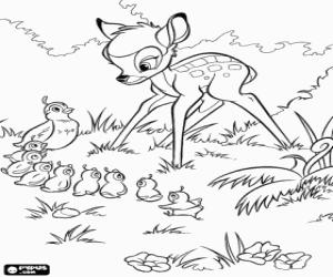 Coloriage Bambi en observant au passage d'une caille am�ricaine avec ses jeunes
