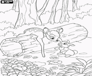 Coloriage Bambi et Pan-Pan � jouer dans les bois