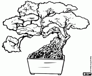 Coloriage bonsai, arbre miniature dans un plateau en fonction de l'art japonais du bonsa�