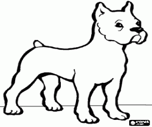 Coloriage Bulldog avec sa courte queue et oreilles dress�es
