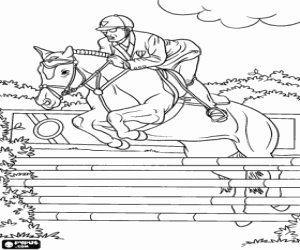 Coloriage Cavalier et le cheval participant � un concours de saut