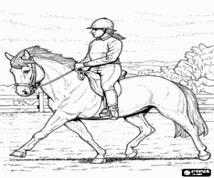 Coloriage Cavali�re � un spectacle �questre