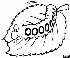 Coloriage Chenille mangeant une feuille