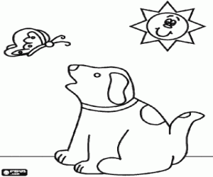 Coloriage Chien avec collier en regardant le vol d'un papillon sous le soleil