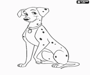 Coloriage Chien dalmatien