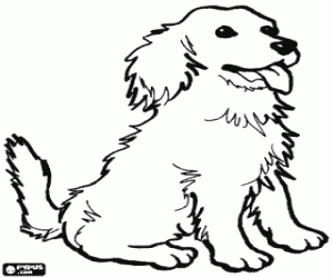 Coloriage Chiot avec la langue dehors