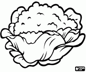 Coloriage Chou-fleur