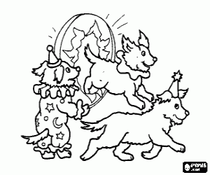 Coloriage Circus chiens proc�dant � leur performance en sautant dans un cerceau