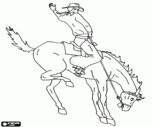 Coloriage Cow-boy mont� sur un cheval cabr� dans un rod�o