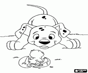 Coloriage Dalmatian chiot jouant avec un poussin