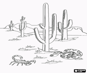 Coloriage D�sert de Sonora avec le fameux cactus saguaro, un scorpion et un serpent