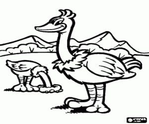 Coloriage Deux autruches dans le paysage, l'autruche est un grand oiseau de non voler