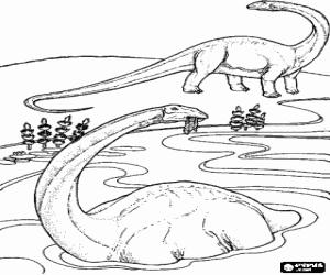 Coloriage Deux dinosaures, l'on mange dans l'eau tandis que l'autre regarde