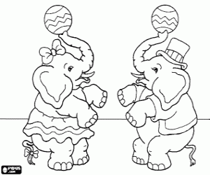 Coloriage Deux �l�phants de cirque jongle avec ses trompes et unes balles