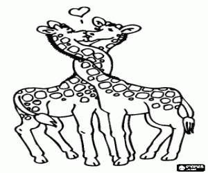 Coloriage Deux girafes en amour avec le cou li�s