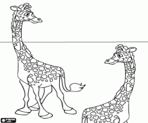Coloriage Deux girafes heureux et amusant