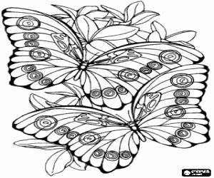 Coloriage Deux papillons survolant les fleurs