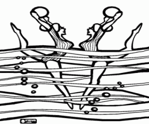 Coloriage Duo effectuant son exercice dans une comp�tition de natation synchronis�e