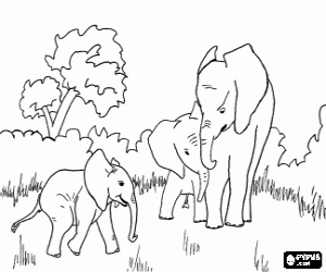Coloriage Famille d'�l�phants dans une clairi�re dans la jungle