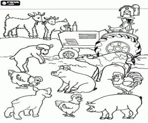 Coloriage Farmer sur son tracteur, entour� des animaux de sa ferme