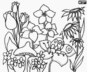 Coloriage Fleurs printani�res vari�es, l'une avec une chenille et un champignon
