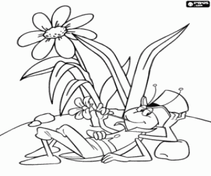 Coloriage Flip, la sauterelle, reposant au calme avec une fleur dans la bouche