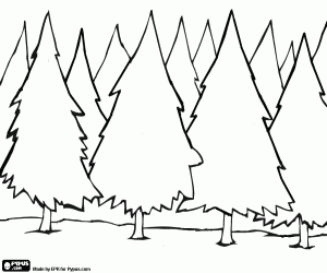 Coloriage for�t de sapins