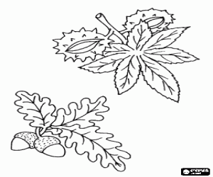Coloriage Fruits de l'automne: des glands et des ch�taignes