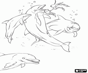 Coloriage Groupe de dauphins avec un petit en nageant dans la mer
